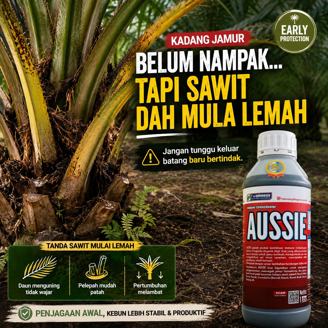AUSSIE Palm Recovery Treatment