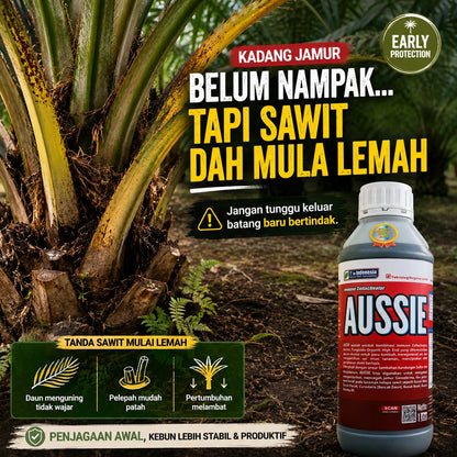 AUSSIE Palm Recovery Treatment