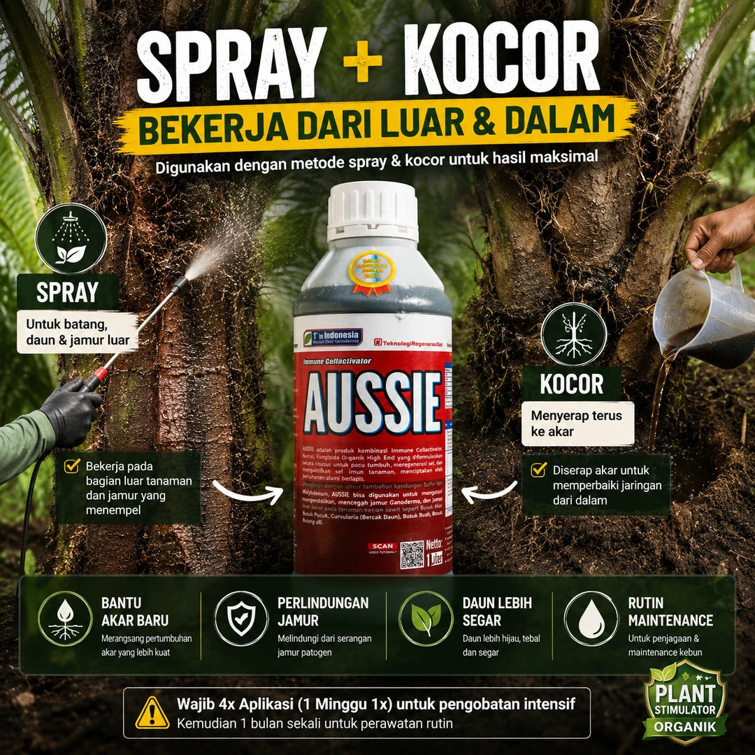 AUSSIE Palm Recovery Treatment