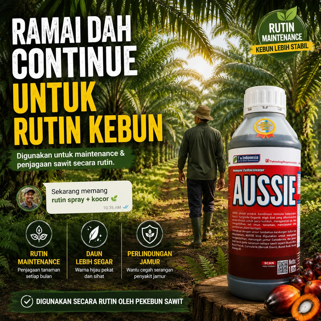 AUSSIE Palm Recovery Treatment